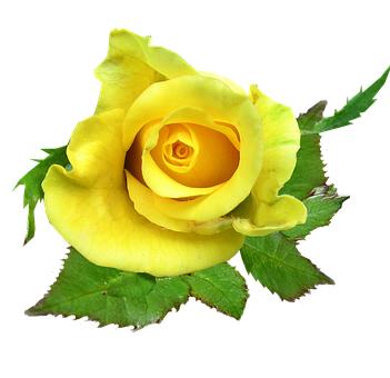 Сѧ��ѧ�����鹤���ܽ�(1)