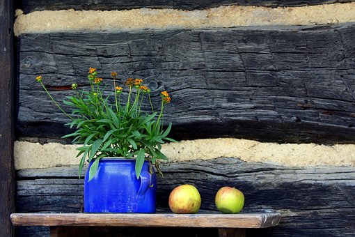 Ӣ�����ӡ��ư͡����������������ܽ���������������������ʵ����ͻ��