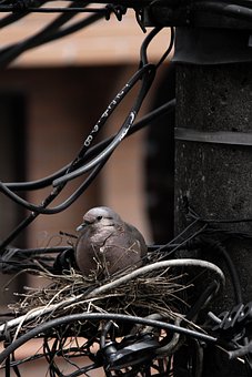 ���ڵ��꼶�����Ŀ�ļ���ʩ