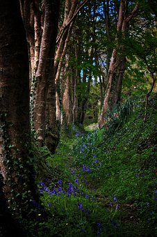 ����������ѧ����·�����ս�ƪ���㶮���׵�·�����߼����п�����15�֣�