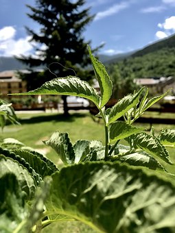 新西兰总理辞职全文:工作苦我要回家带妻休假